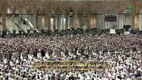 UVKpgBVoIbTvw e7.jpg