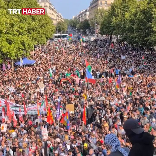 lgQYIQyMHiJ 2hLl.jpg