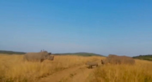 CvaS 7kr6QFpEmYm.jpg