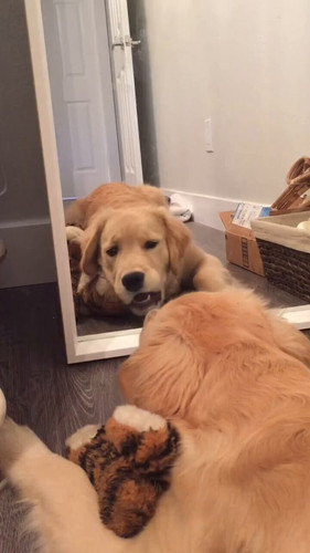 4ZO1SUzYiU M79BN.jpg