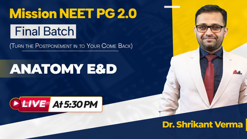 WhatsApp Image 2025 06 09 at 1.19.00 PM.jpg