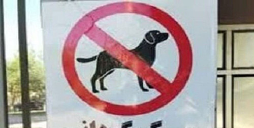 g79xUud3y1T6sexFQXnVe9A01rFJEC2wOZw5ENp8qJ ktZHghmk 4nYdTbqAYgzDxC0sxQRC3GNgPemhog3Q52q8ELigdB0j8e72.jpg