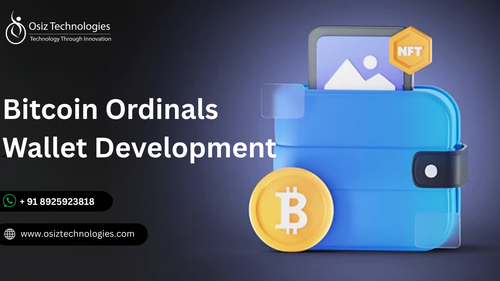 Bitcoin Ordinals Wallet Development.png