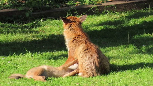 fPzuAF7bh8Hezo8e.jpg