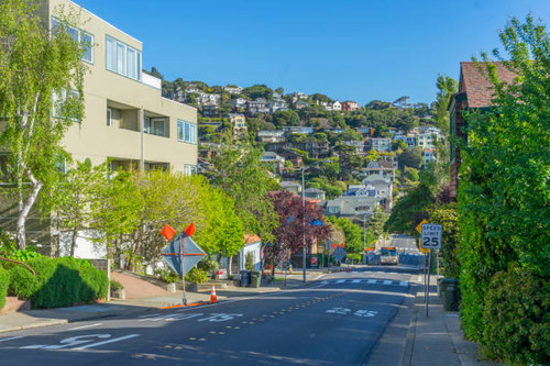 Construction Landscaping in Marin County - Marion Landscape Construction.jpg