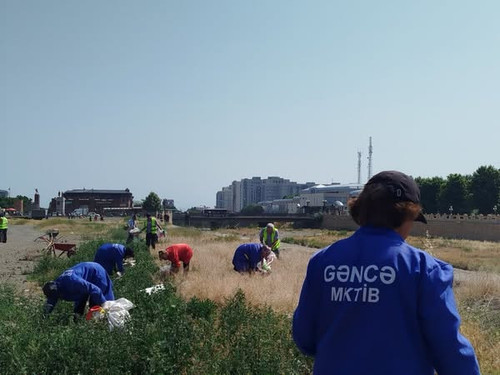 505283143 746547914390892 1673731399471814702 n.jpg?stp=dst jpg s600x600 tt6& nc cat=102&ccb=1 7& nc.jpg