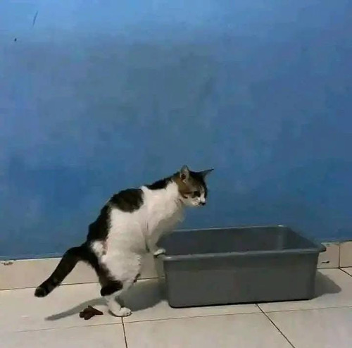 file.jpg