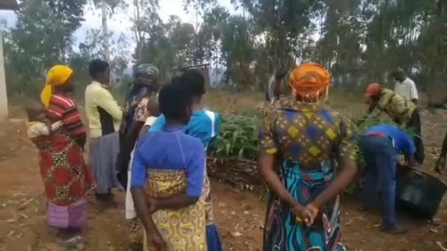 Mjh1Iw4MkxUU B w.jpg