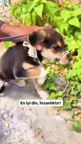 j9Q0zCeMVZ8kYsGZ.jpg