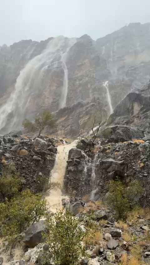 3GRiqnO5eQZz XNR.jpg