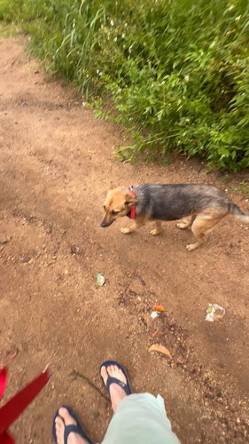 Uv4Nt YBjrjlvkPZ.jpg