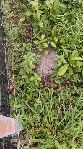 WhatsApp Image 2025 06 10 at 09.00.31.jpg