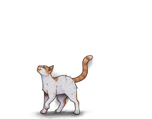 simba.png