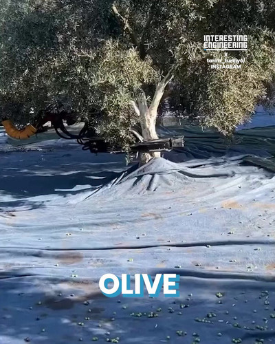 bjvHBCT1wkw4Uovi.jpg