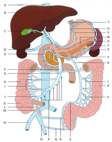 8ab49edb2cd9.jpg