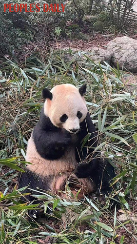 7 WDbfuayazH7PGw.jpg