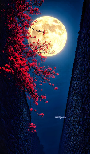 freepik enhance 24585.jpg