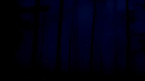 XdwH1tJdoNVRSwdm.jpg