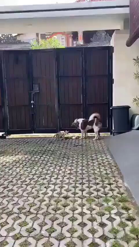 W NmW3EUWml46wsq.jpg