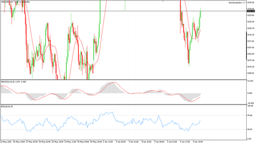 XAUUSD H1 20250609 180000.png