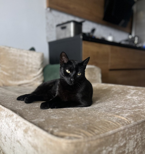 GtAOr7TWoAAOvhK.jpg