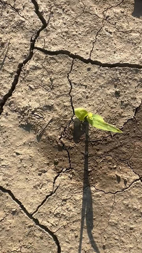 25Mg IOrSg1AZ2CQ.jpg