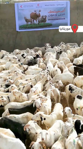 t I5DJ7VI2xjSSgL.jpg