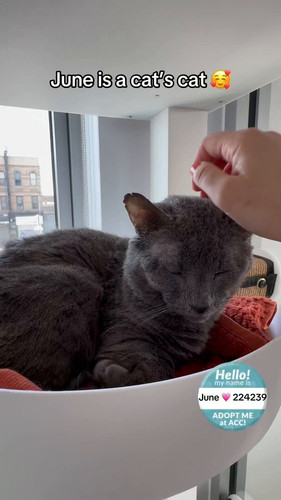 xduubU qVlcU0ew4.jpg