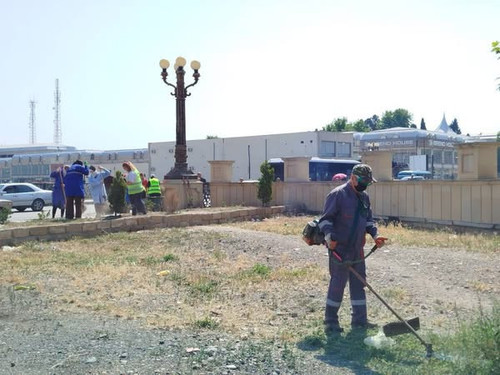 505328538 746547884390895 4182287046241070961 n.jpg?stp=dst jpg s600x600 tt6& nc cat=109&ccb=1 7& nc.jpg