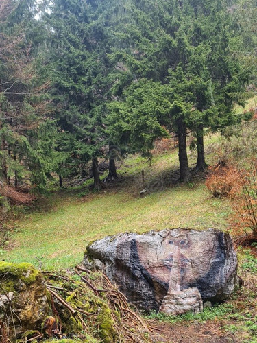 img 1716157366 4022.jpg