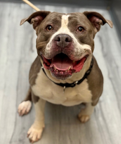 Gsi qVuXIAAs8tC?format=jpg.jpg