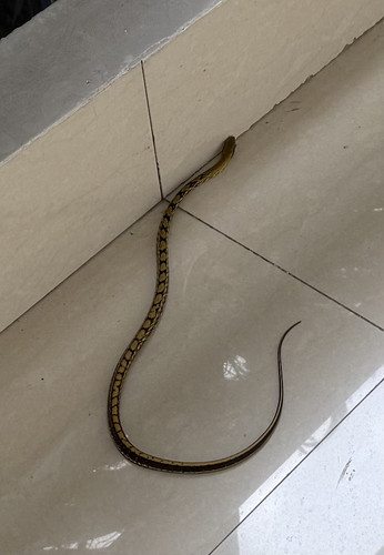 IMG 0263(20250610 093651).jpg