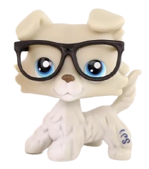 image removebg preview (1).png