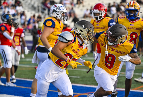 TMC L McDallstar 11.png