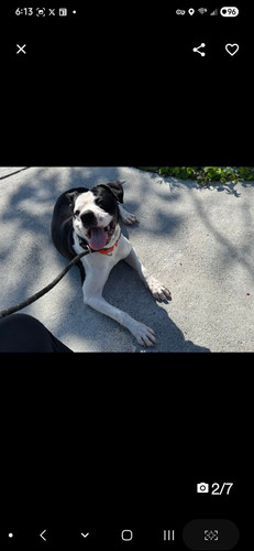 GsZCYerWoAEb8M ?format=jpg.jpg