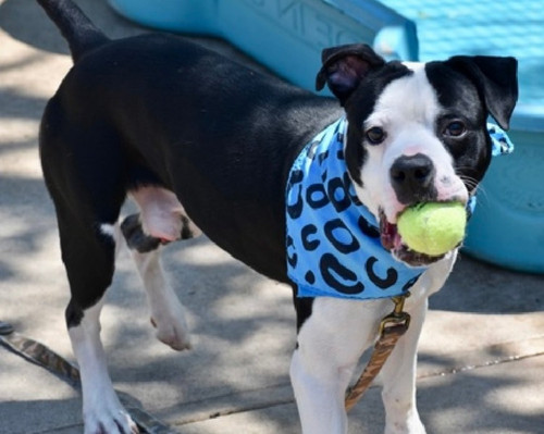 Gsmwh cWkAEpR3E?format=jpg.jpg