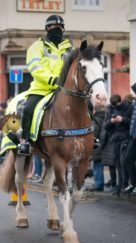 fzb7xTX7f 3APgss.jpg