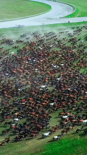 zFbwFqBEs arBH9j.jpg