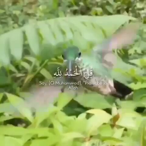 GJ d7X3bFjraM8Lw.jpg