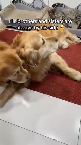 LZltu8 WJGh89igk.jpg