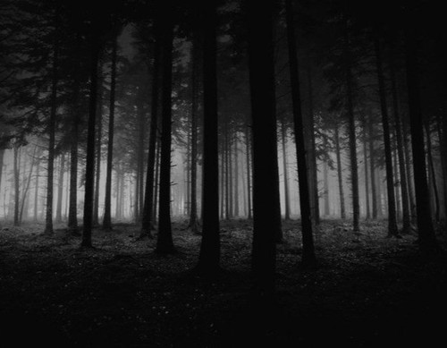 download (3) (1).jpg