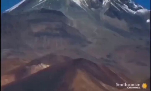 Or36 glc pD 6BjS.jpg