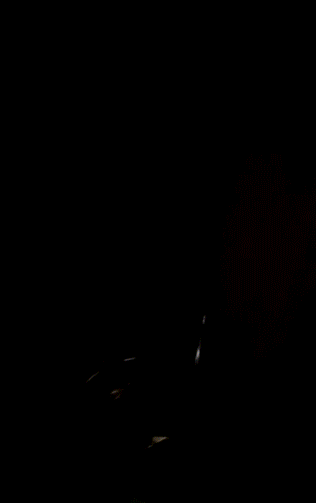FFR1Fa4.gif