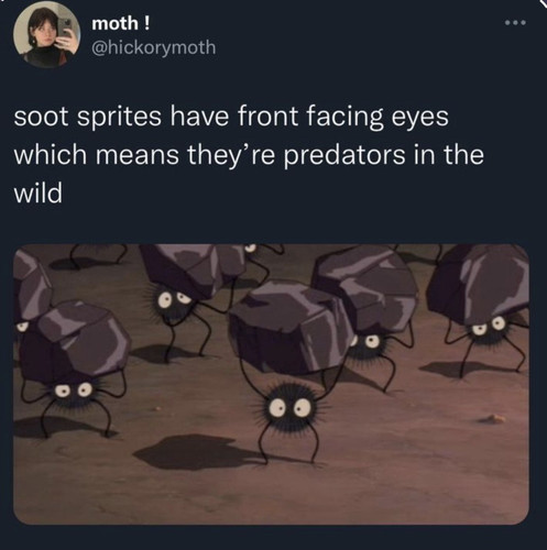 1000056927.jpg