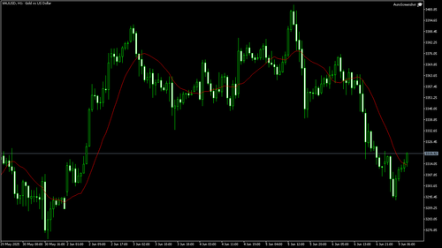 XAUUSD H1 20250609 080000.png