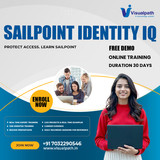 Top Sailpoint Online Course in Bangalore with Job Assistance