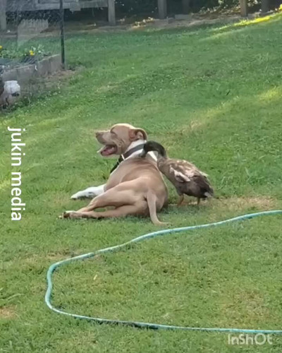 iuV y1nXx7kwnxBO.jpg