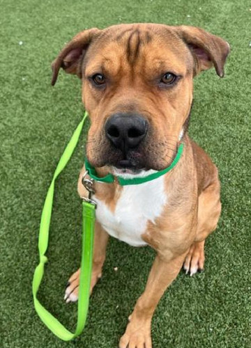 GsjDIGMXAAAB 0B?format=jpg.jpg