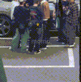 IMG 3527.gif