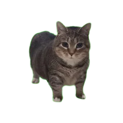 3B61347E DE97 4327 9B82 9152A0298F51.png